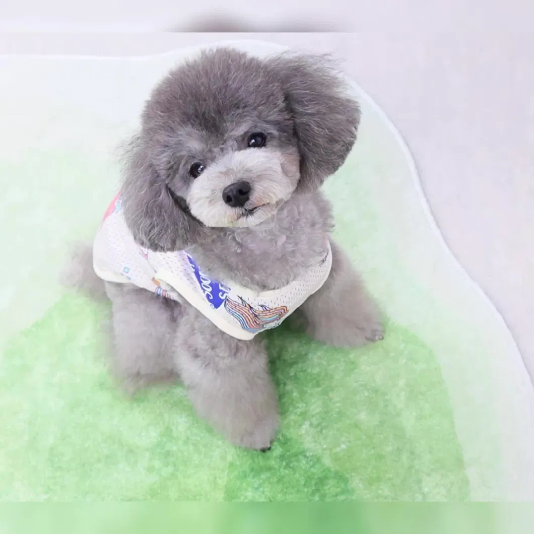 Design Waterproof Pet Products Flower Printing Dog Transparent Raincoat